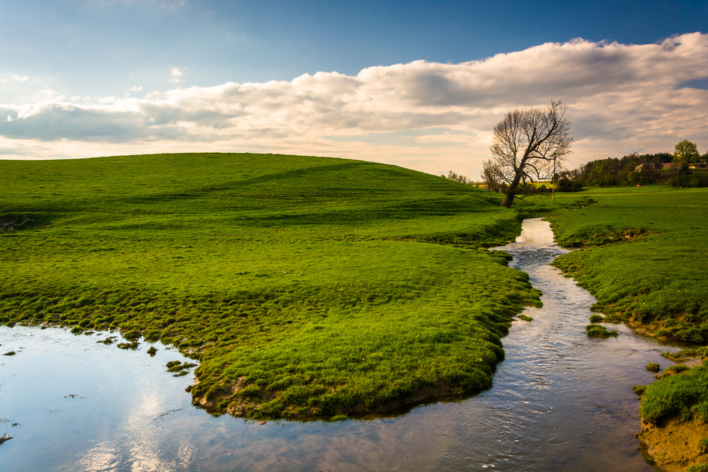 Stream in a farm field in rural York County, Pennsylvania.
